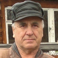 Аркадий, 82, Россия, Серов