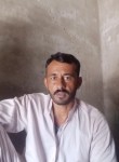 Zafar supari, 38 лет, لاہور