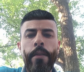 qwest, 19, Amman