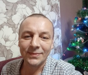 Вячеслав, 45 лет, Переславль-Залесский