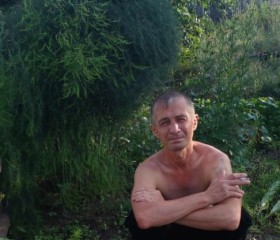 Алексейй Тропман, 46 лет, Саратов