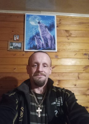 Сергей, 45, Россия, Палкино