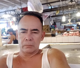 RowellMarra, 55 лет, Lungsod ng Calapan