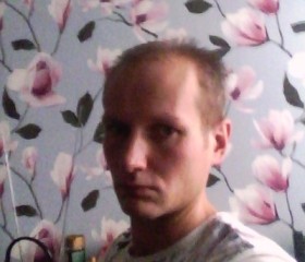 Юрий, 39 лет, Светогорск