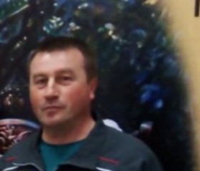 Михаил, 51 год, Саранск