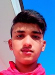 Vishal Kumar, 19 лет, Mohali