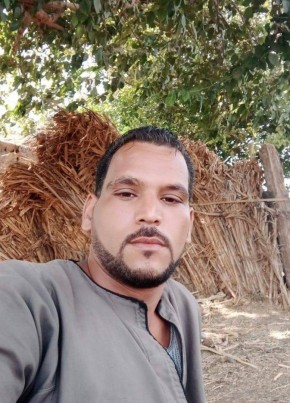 ابو الاء, 19, Egypt, Al Jizah