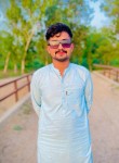 Shazab, 19 лет, چکوال‎