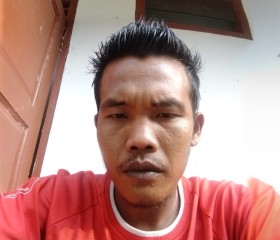 Hengki Kurniawan, 30 лет, Jambi