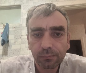 Дмитрий, 45 лет, Вышний Волочек