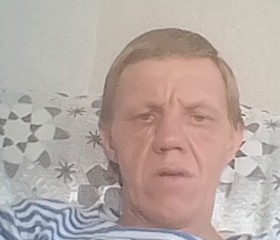 Владимир, 44 года, Астана