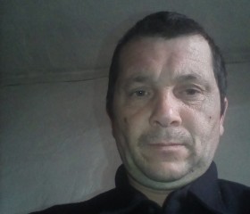 Николай, 48 лет, Табуны