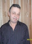 Александр, 63 года, Железногорск (Курская обл.)