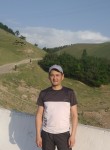 Zahid Bekchanov, 35 лет, Toshkent