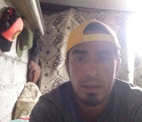 Valente, 40, Palmira