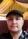 Тимурлан, 34 года, Бишкек