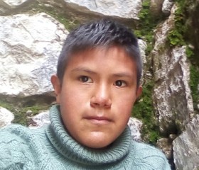 Manuel Gerardo, 36 лет, Andahuaylas