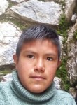 Manuel Gerardo, 36 лет, Andahuaylas