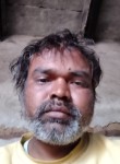 Toni farmar, 33 года, Delhi