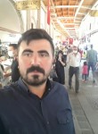 ismail, 36 лет, Şebinkarahisar