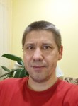 Денис, 43 года, Ярославль