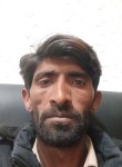 Saber, 38  , Islamabad