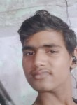 Vipin Kumar Vish, 18 лет, Nagpur