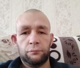 Евгений, 40 лет, Славгород