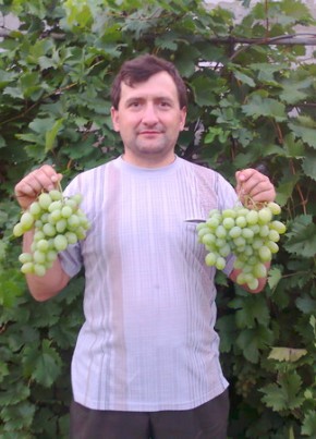 володя, 53, Україна, Селидове