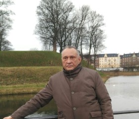 vladimir, 71 год, Lübeck