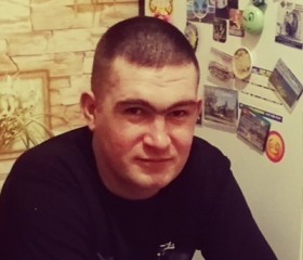 Василий шрейбер, 43 года, Новодвинск