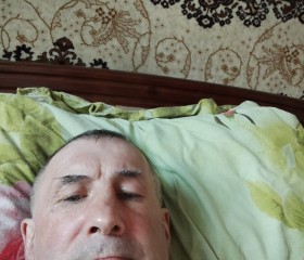 Владимир, 54 года, Елизово