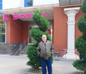 Владимир, 68 лет, Дровяная