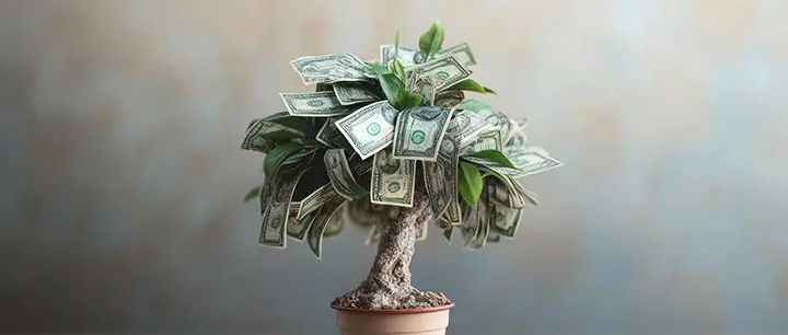 Чек-лист отличий альфонса от мужчины в сложной жизненной ситуации